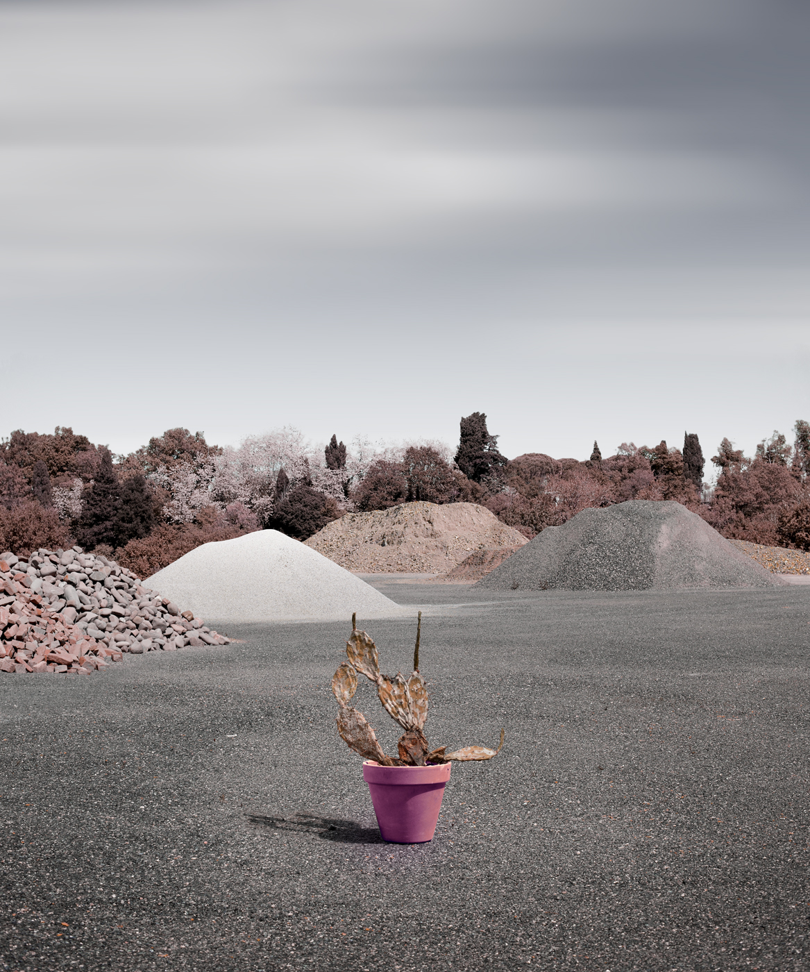 ti_trovo_cambiato_03